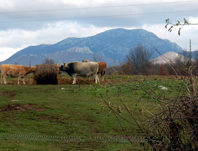 Motim s južnog Ličkog polja u prosincu 2019./Snimio Marko Čuljat                                                                                                                                                                                          
